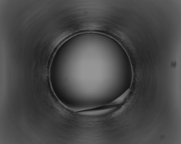 X0000091471073200708301848