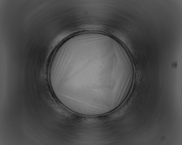 X0000091471074200708301848