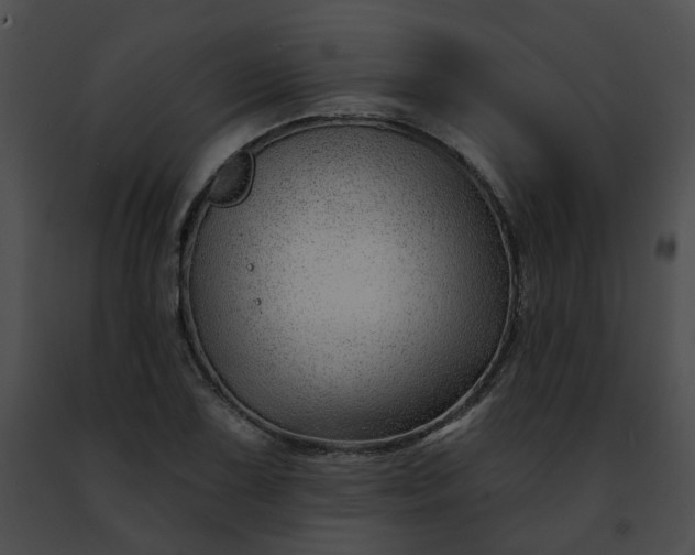 X0000091471075200708301848