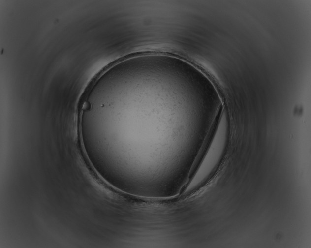 X0000091471079200708301848