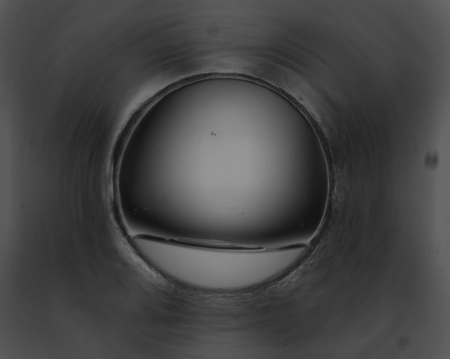 X0000091471080200708301848