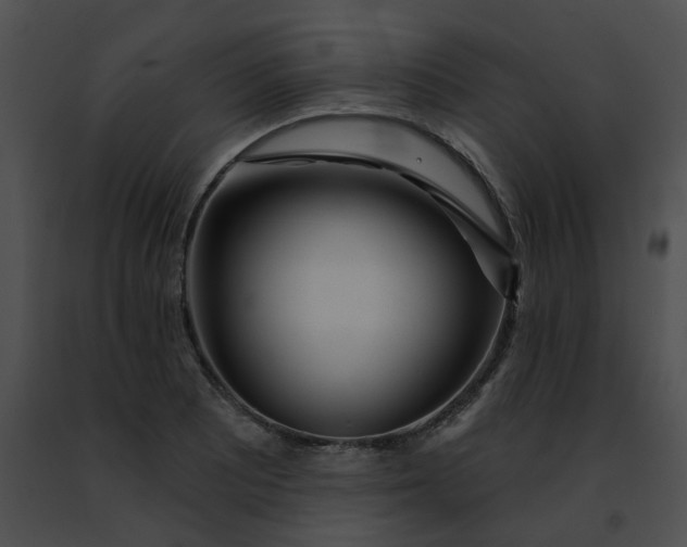 X0000091471081200708301848