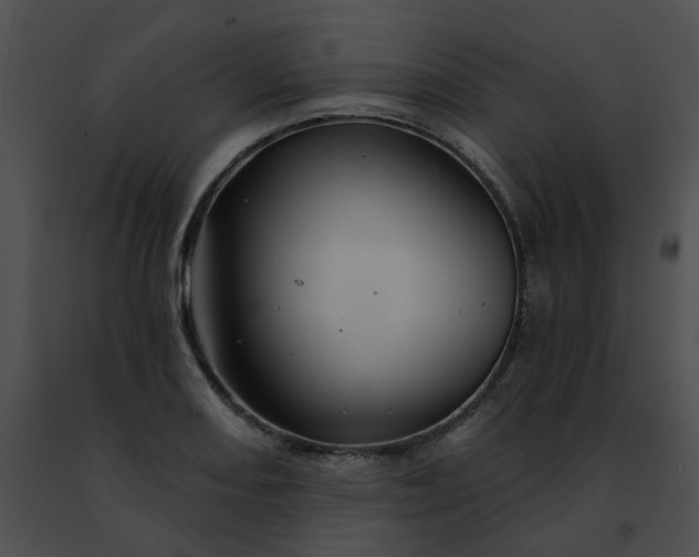 X0000091471082200708301848