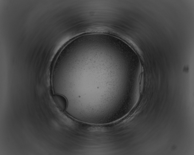 X0000091471083200708301848