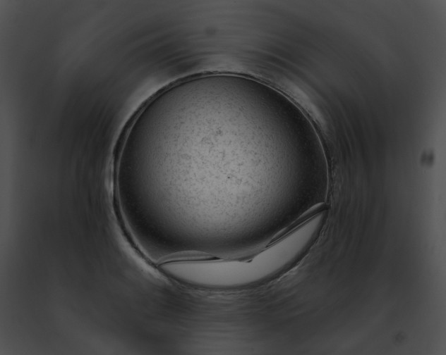 X0000091471084200708301848