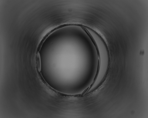 X0000091471085200708301848