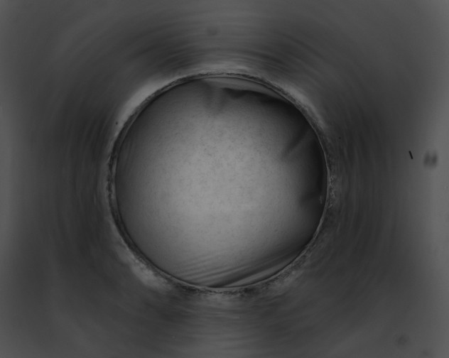 X0000091471086200708301848