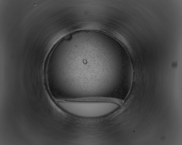 X0000091471087200708301848