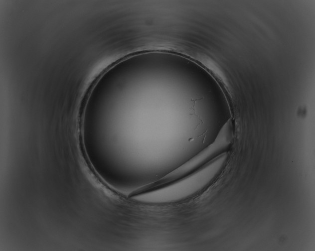 X0000091471088200708301848