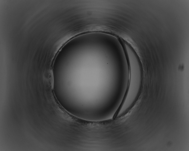 X0000091471089200708301848