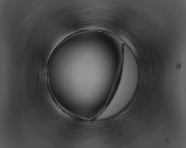 X0000091471092200708301848