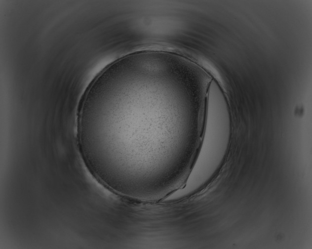 X0000091471095200708301848