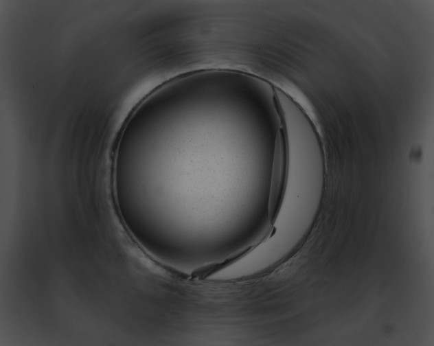 X0000091471096200708301848