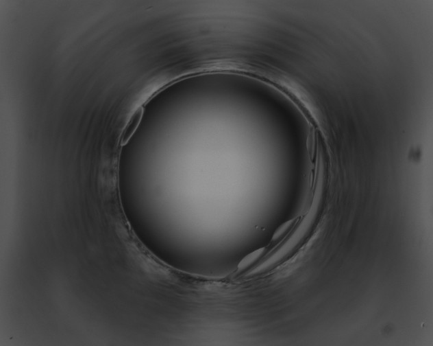 X0000091471097200708301848