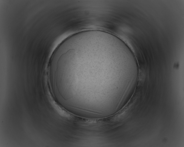 X0000091471098200708301848