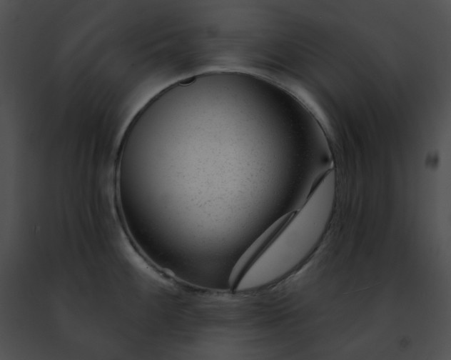 X0000091471100200708301848