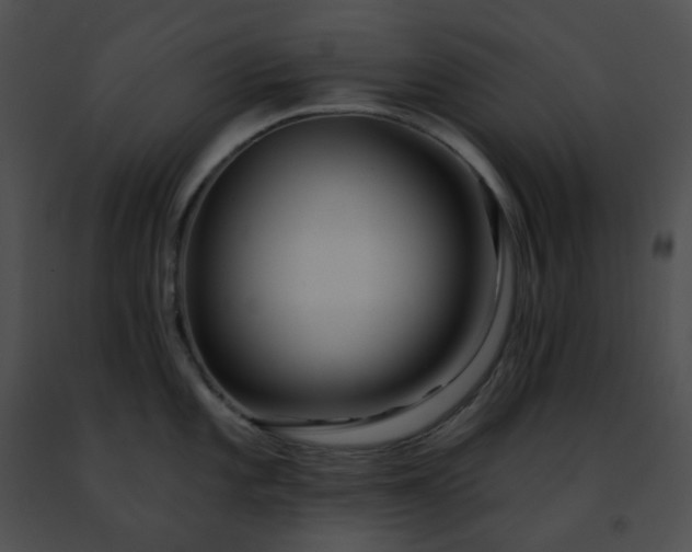 X0000091471101200708301848