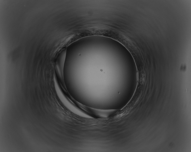 X0000091471108200708301847