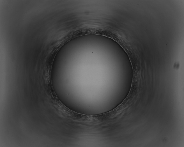 X0000091471109200708301847