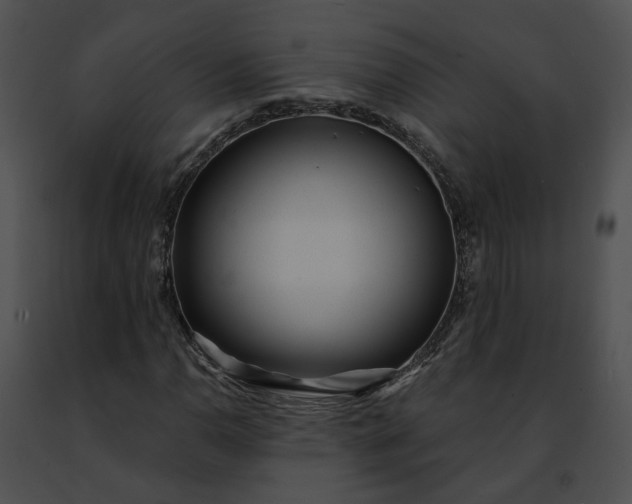 X0000091471110200708301847