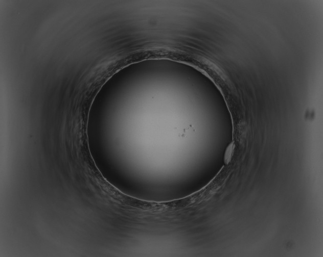 X0000091471111200708301847