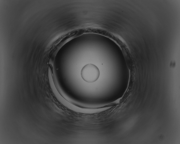 X0000091471112200708301847