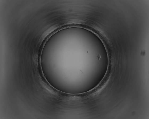 X0000091471113200708301847