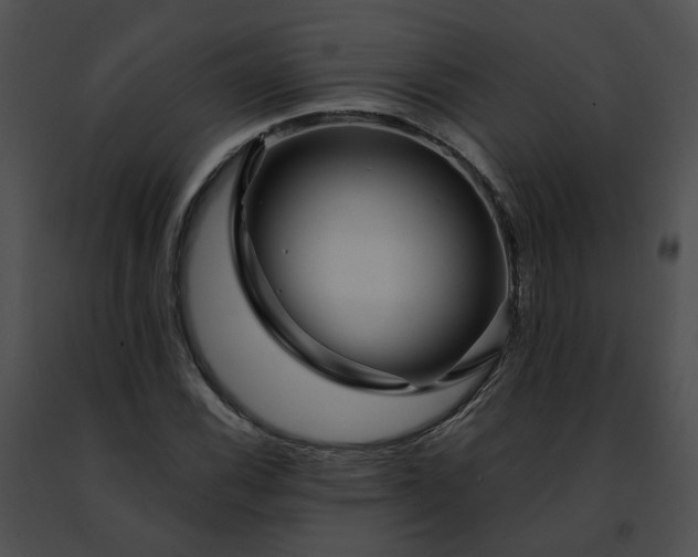 X0000091471116200708301847