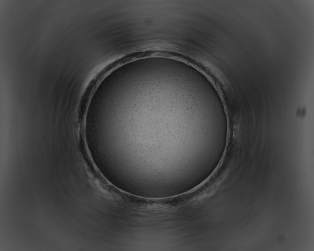 X0000091471117200708301847