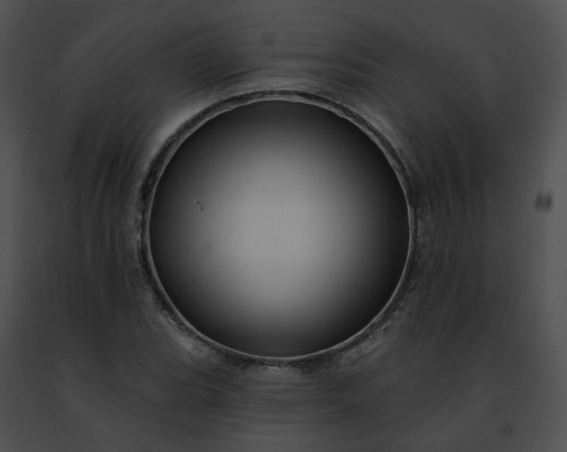 X0000091471119200708301847