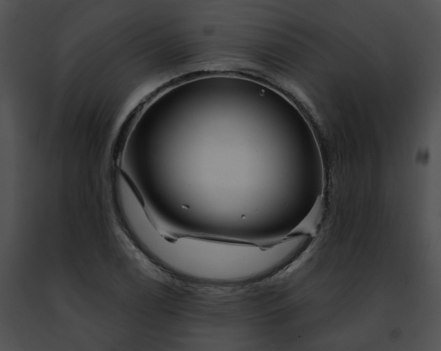 X0000091471122200708301847