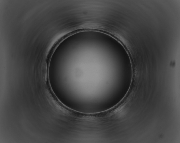 X0000091471123200708301847