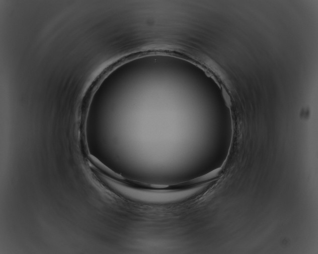 X0000091471124200708301847