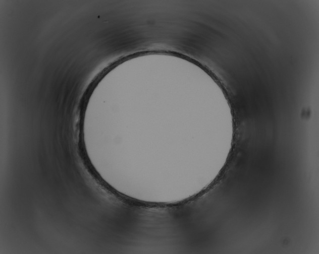 X0000091471126200708301847