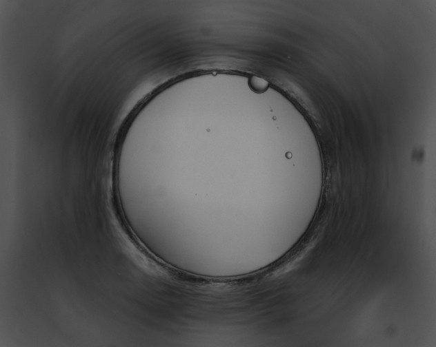 X0000091471130200708301847