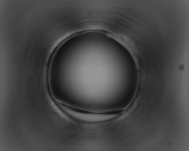 X0000091471134200708301848