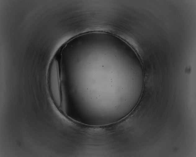 X0000091471135200708301848