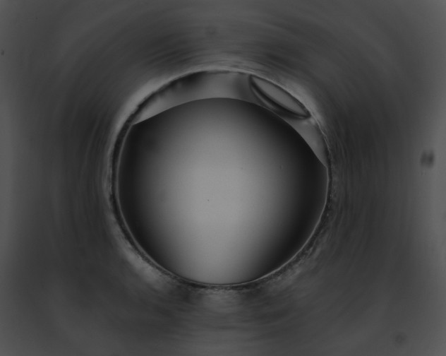 X0000091471136200708301848