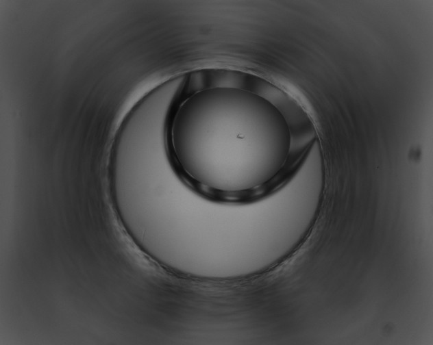 X0000091471138200708301848