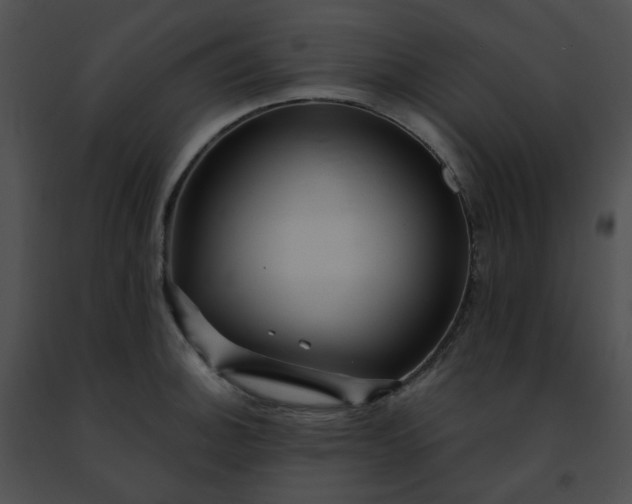 X0000091471140200708301848