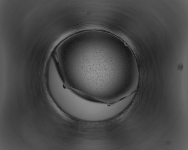 X0000091471142200708301848