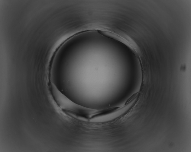 X0000091471144200708301848