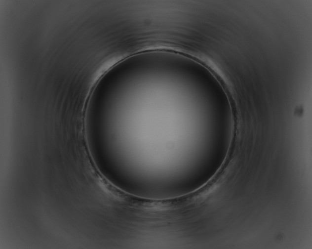 X0000091471145200708301848