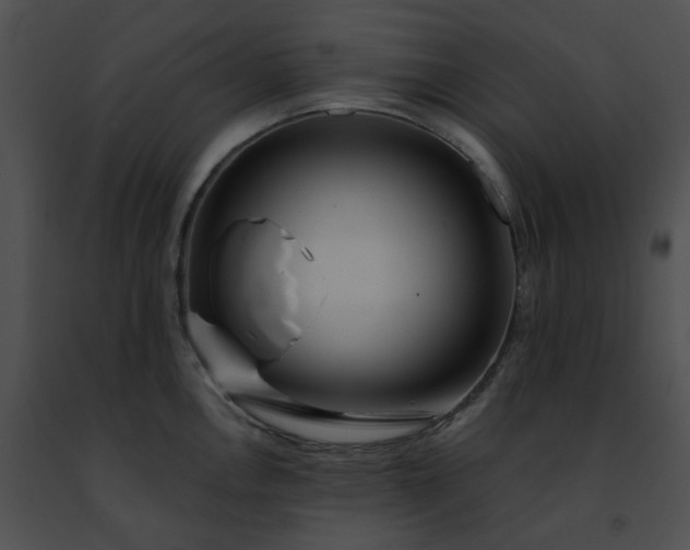 X0000091471146200708301848