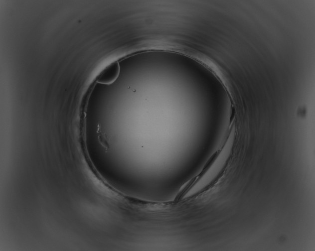 X0000091471147200708301848