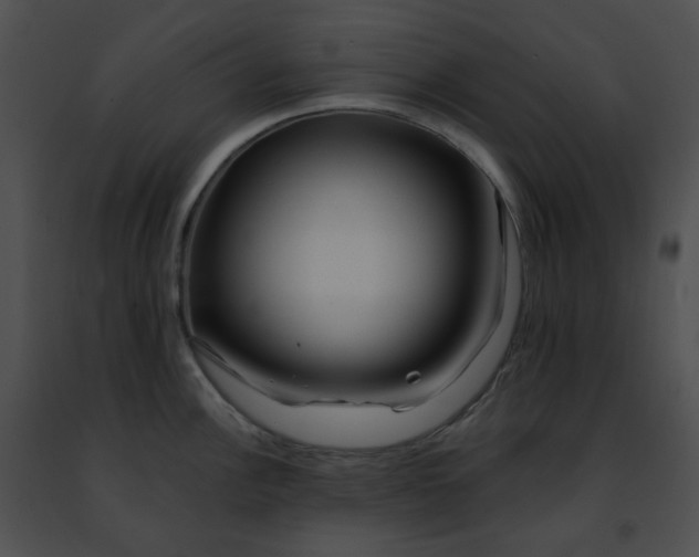 X0000091471148200708301848