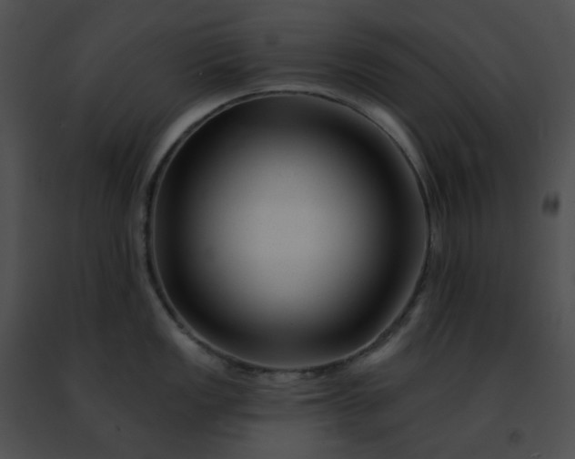 X0000091471149200708301848