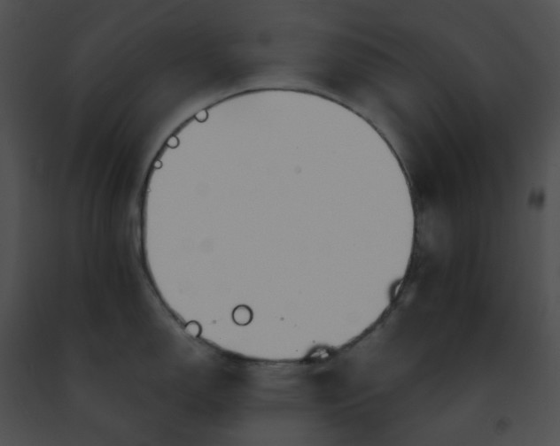 X0000091471150200708301848