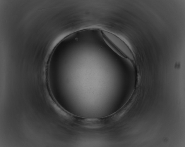 X0000091471151200708301848