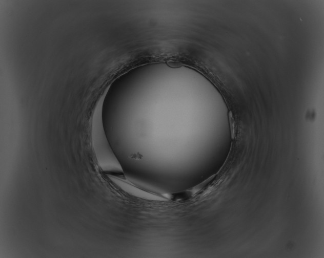 X0000091471153200708301847